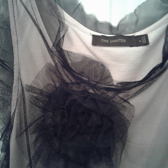 The Limited Sheer Mesh Overlay with 3D Flower Accent Top - Picture 4 of 5